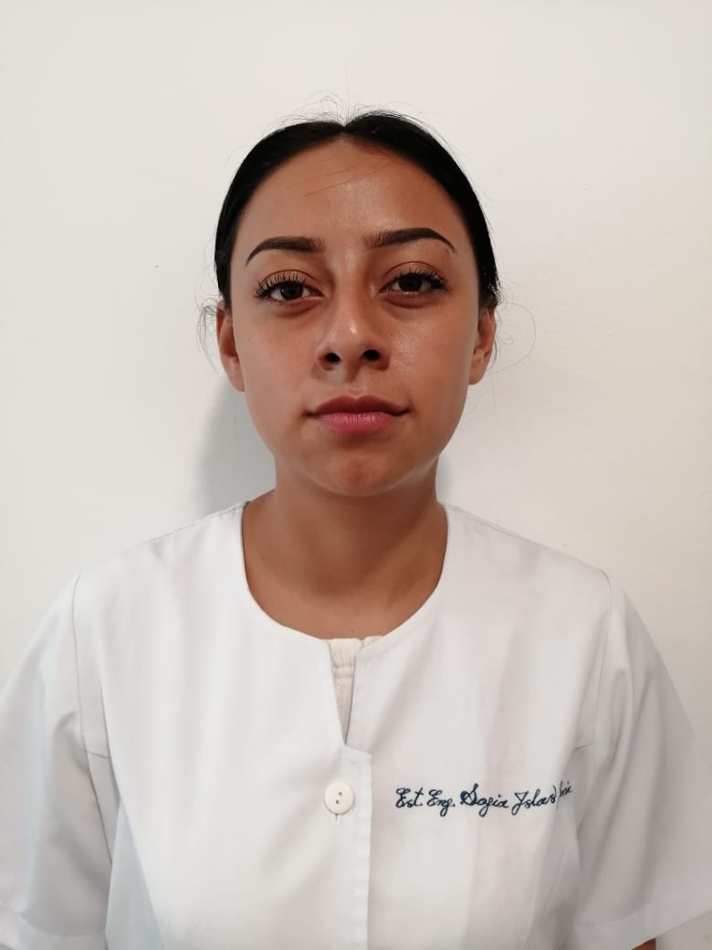 Atend prestador Sofia Itzamaray Islas García