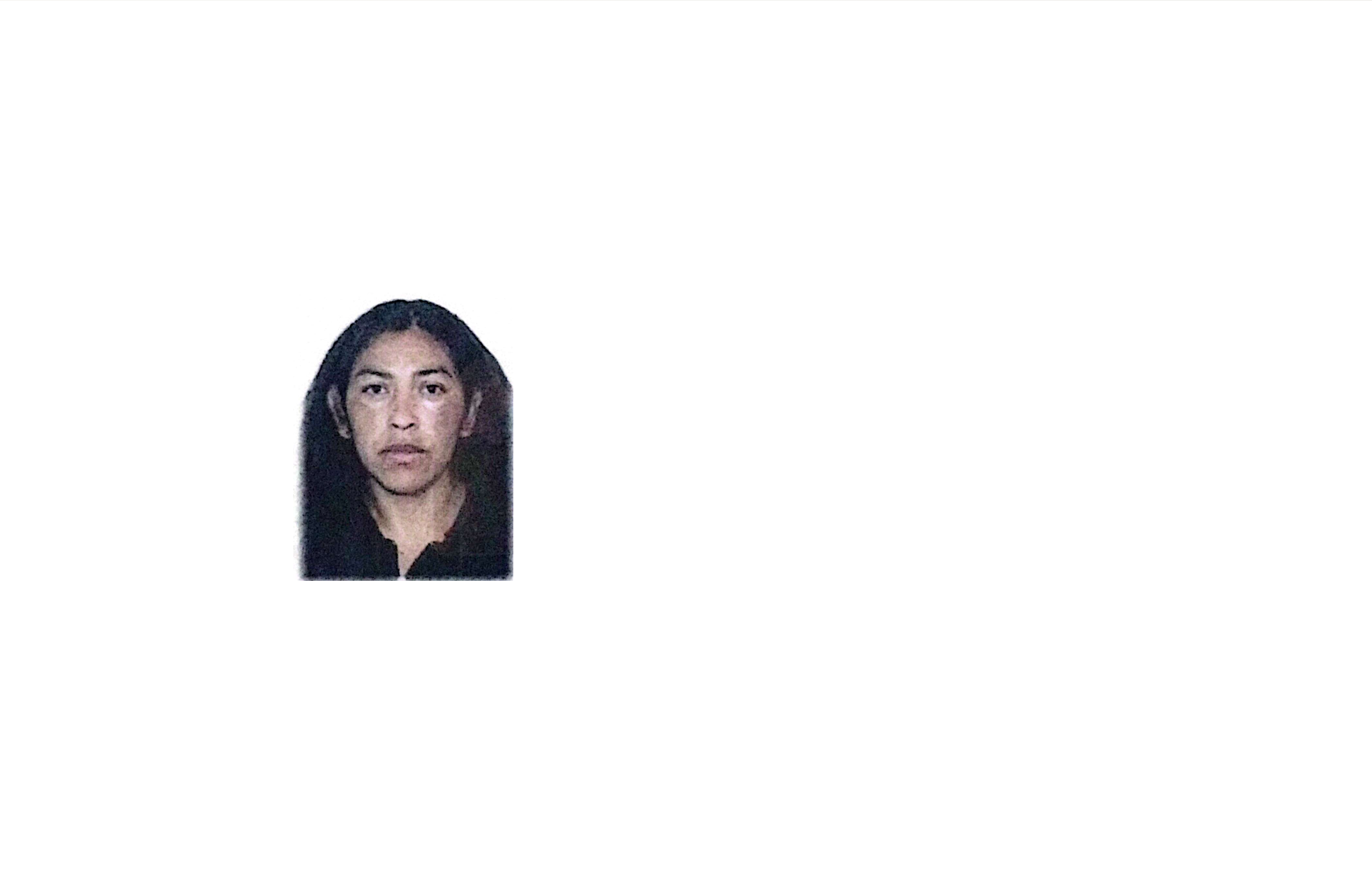 Atend prestador ERICA GUADALUPE LUMBRERAS TAPIA