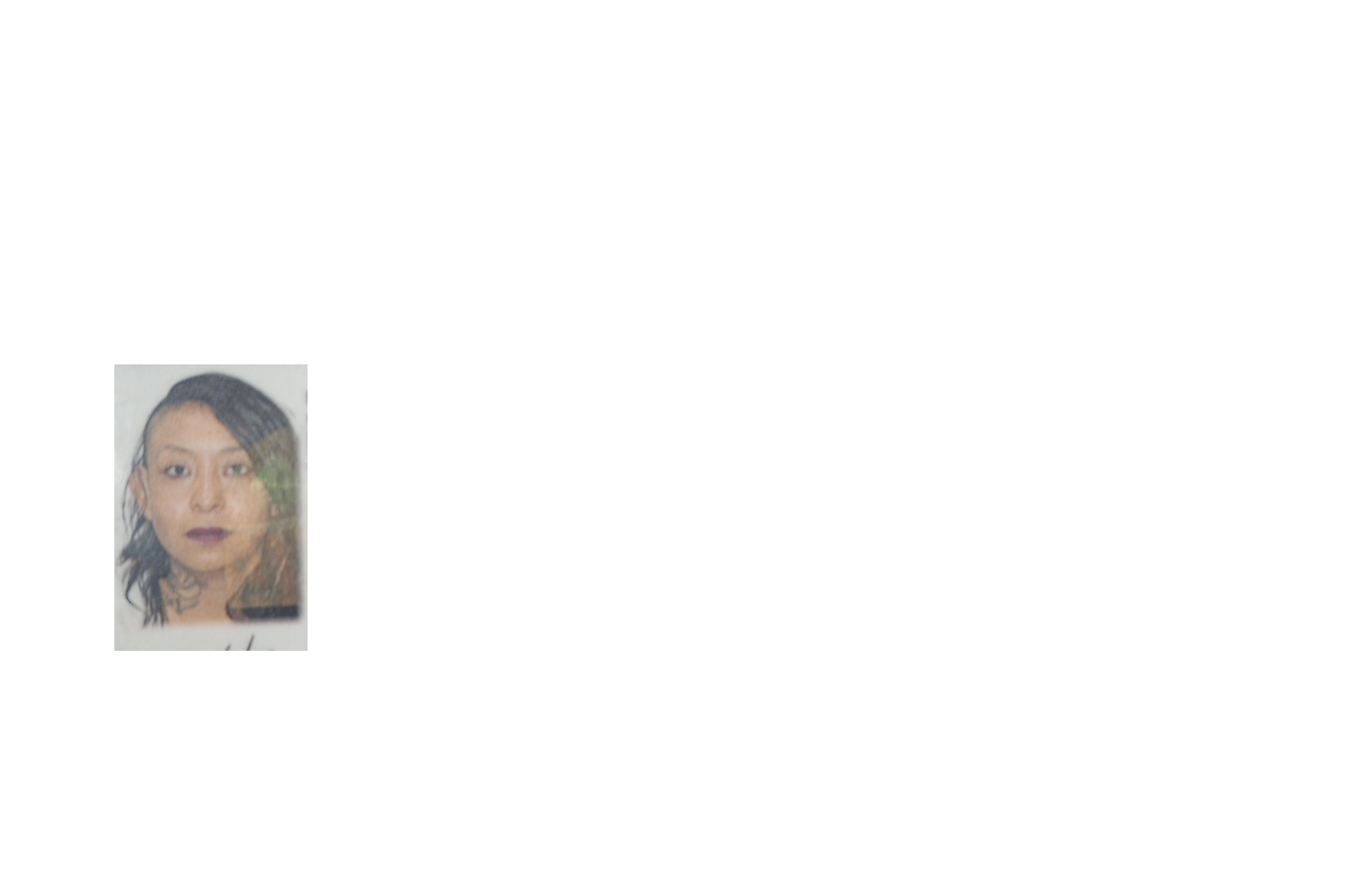 Atend prestador Zeltzin Garcia Lopez