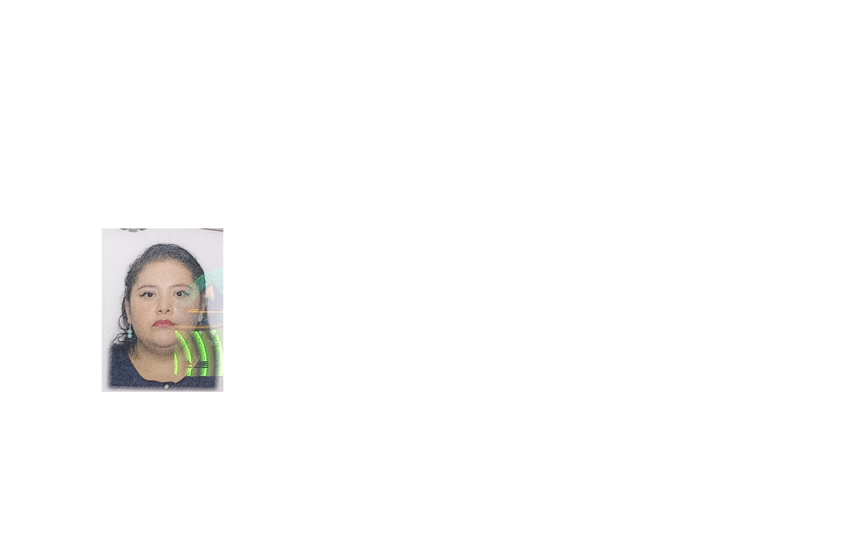 Atend prestador Pamela Berenice Valle Fuentes