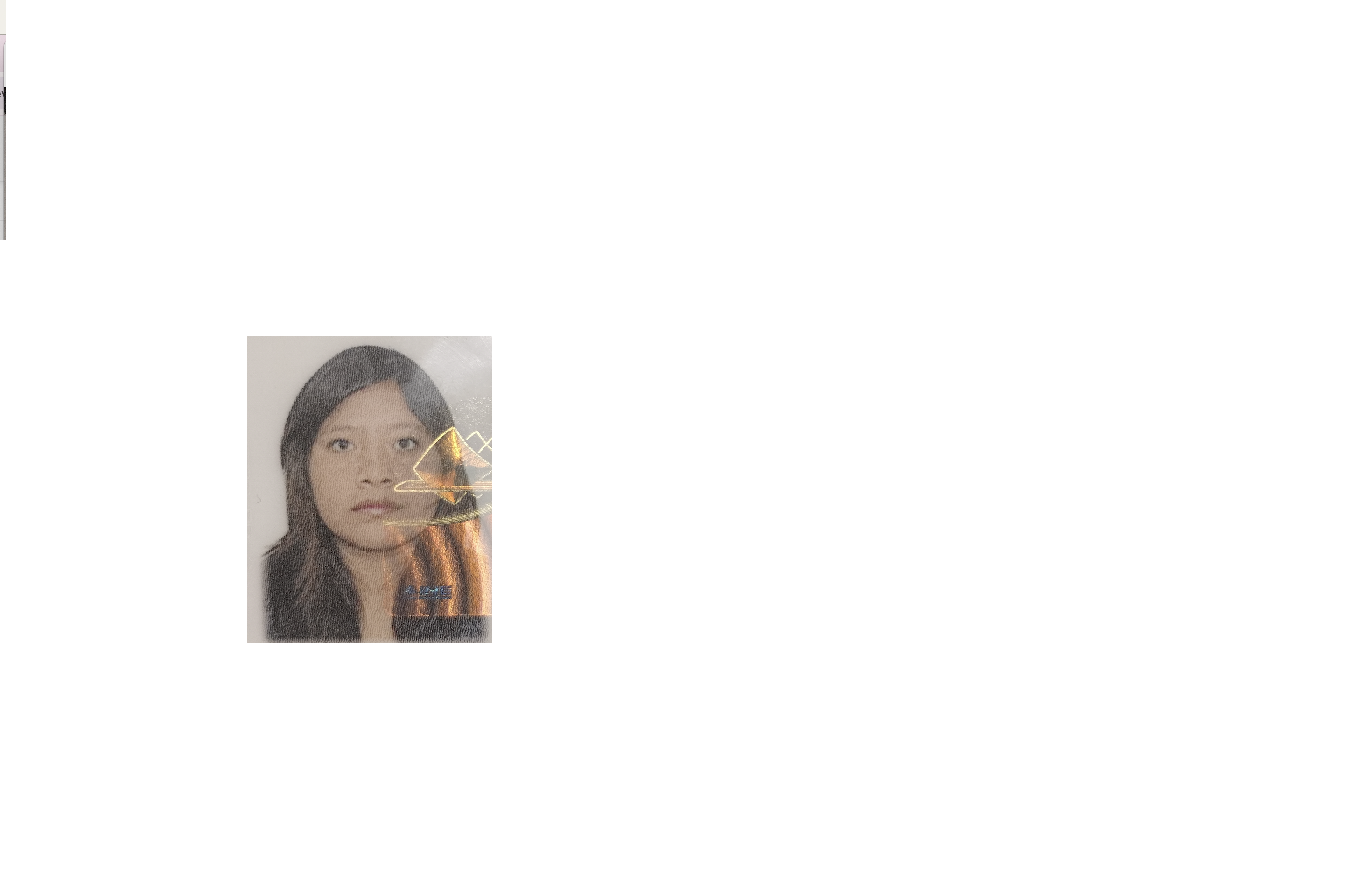 Atend prestador Maritza Berenice Flores Rios