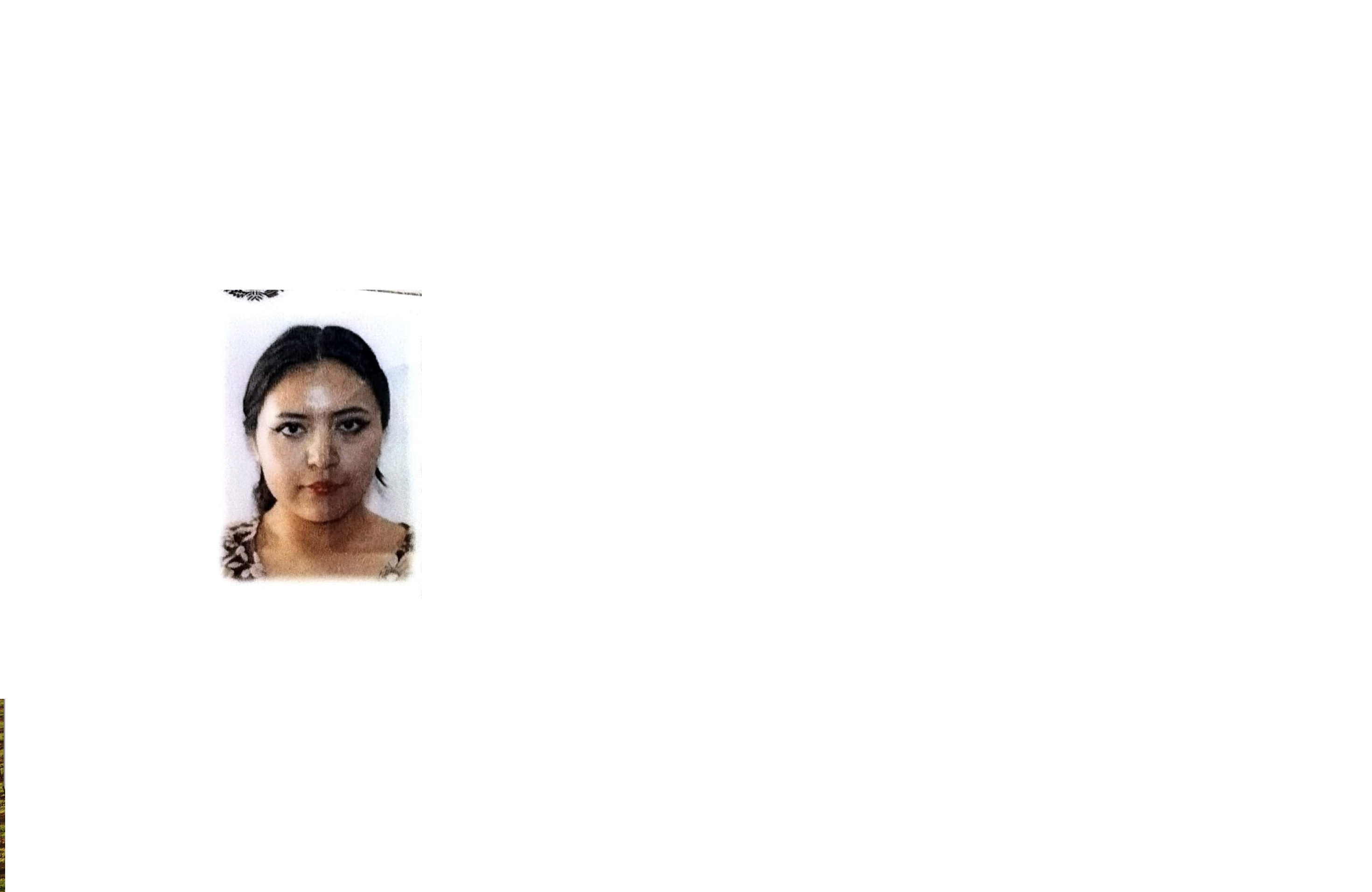 Atend prestador Diana Karen Marin Campos